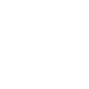 Leading Folks Logo
